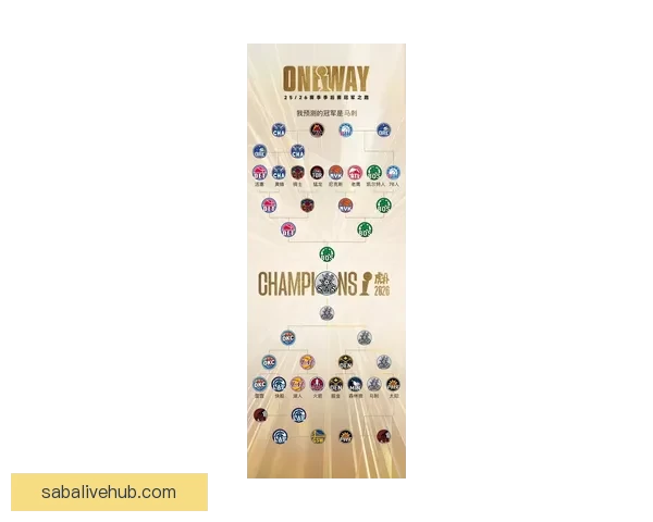 2026世界杯赔率分析：各大热门球队的夺冠机会与赔率走势揭秘