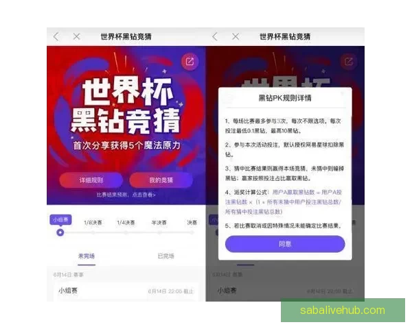 世界杯足球竞猜全攻略 提升你的投注技巧与获胜几率